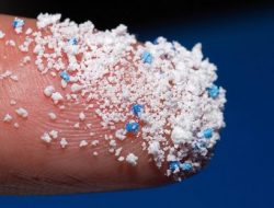 Ancaman Mikroplastik di Pulau Bintan