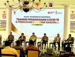 Gubernur Ansar Paparkan Strategi Penanganan Covid19 di Kepri Dihadapan Presiden dan Para Menteri