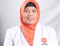 PKS Desak Pemko Tanjungpinang Segera Lakukan Peremajaan Pohon