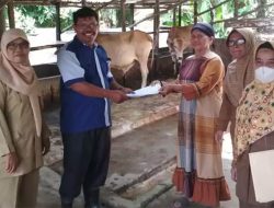 Jelang Idul Adha Pemkab Asahan Lakukan Pemeriksaan Hewan Qurban