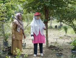TP PKK Kabupaten Asahan Revitalisasi Taman Toga Rambate Rata Raya