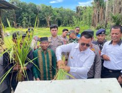 Bupati Aneng Panen Padi Pertama Bersama Petani di Pesisir Timur: Langkah Nyata Menuju Kedaulatan Pangan Anambas
