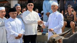 Bupati Anambas Serahkan Dua Sapi Kurban Bantuan Presiden RI
