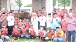 Kurban Presiden 1,04 Ton Disembelih di Tanjungpinang, Lis Darmansyah: Iduladha Momentum Perkuat Solidaritas Sosial