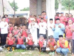 Kurban Presiden 1,04 Ton Disembelih di Tanjungpinang, Lis Darmansyah: Iduladha Momentum Perkuat Solidaritas Sosial
