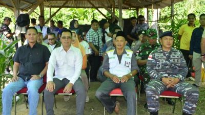 Bupati Aneng Panen Padi di Anambas, Serahkan Bantuan Traktor ke Petani