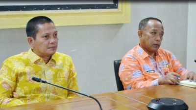 Pusat Jamin Gaji PPPK Aman, Wakil Bupati Anambas Ikuti RDP Fiskal Daerah