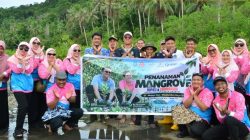 Lestarikan Pesisir, Bupati Aneng dan Dekranasda Anambas Tanam Mangrove di Temburun